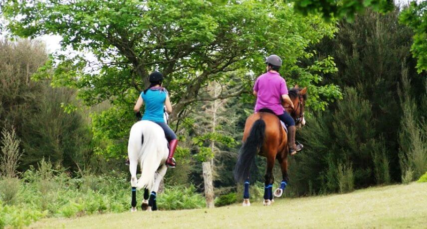 Things to do in Madeira Island with Kids - horse riding